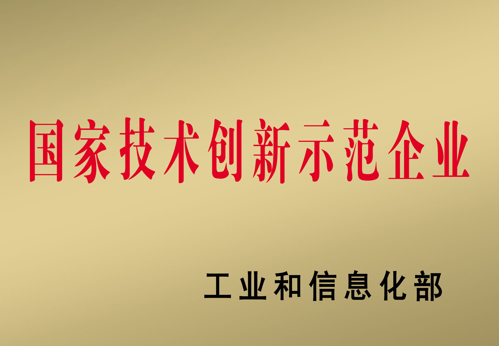 國家技術(shù)創(chuàng  )新示范企業(yè)